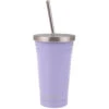Oasis Double Wall Insulated Tumbler W/Straw -Maxwell & Williams shop 8920LC 1024x1024