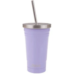 Oasis Double Wall Insulated Tumbler W/Straw