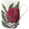 Maxwell And Williams Botanic Mug Telopea 300ml -Maxwell & Williams shop S692107 1024x1024